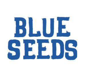 blueseeds